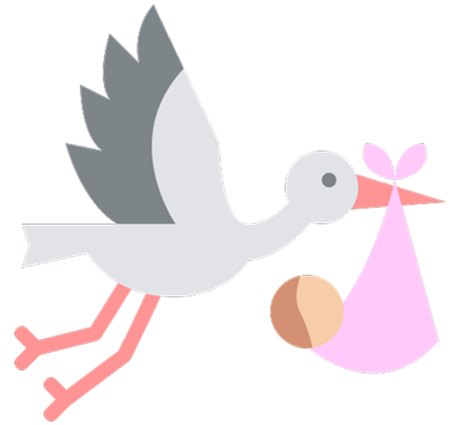 bebe.becerrahancock.com